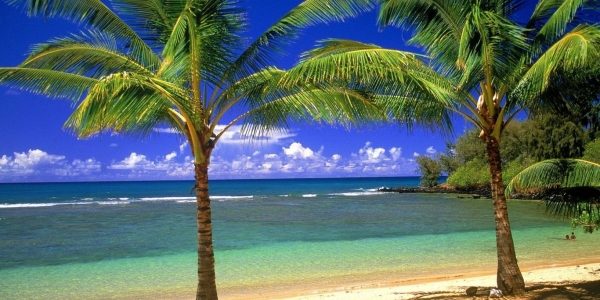 23f6a067599ae98276b159b7685c0abf_L