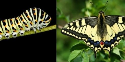 f41bf091a4e18f2312495cc0e975d9f7_L