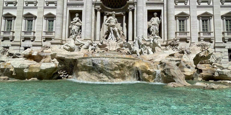 246987703_377150984097005_3268690043500697821_n