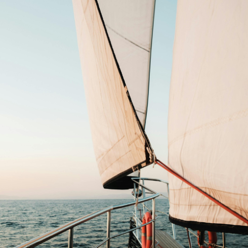 Untitled design – 2024-07-03T122132.050